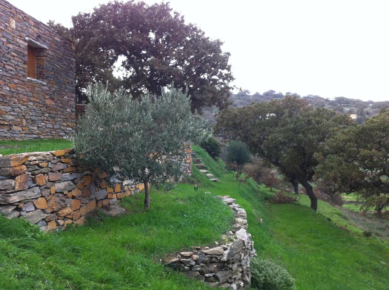 Under Royal Oaks Villa Pera Meria Exterior foto